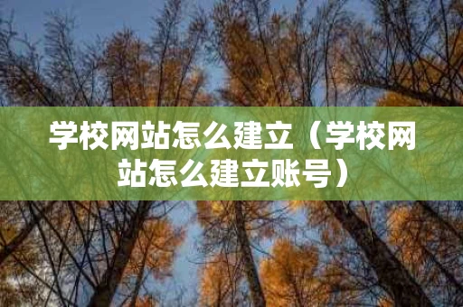 学校网站怎么建立（学校网站怎么建立账号）