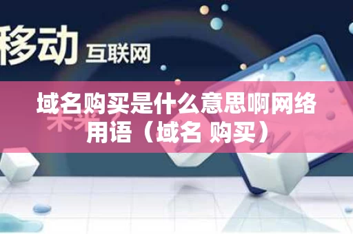 域名购买是什么意思啊网络用语（域名 购买）