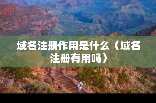 域名注册作用是什么（域名注册有用吗）