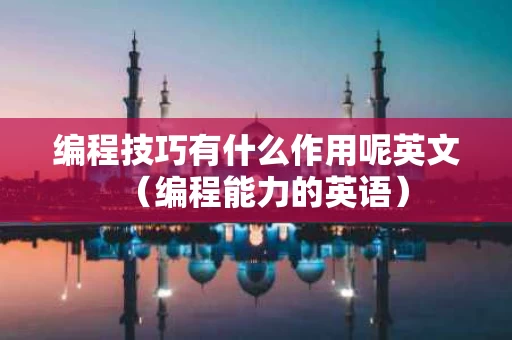 编程技巧有什么作用呢英文（编程能力的英语）