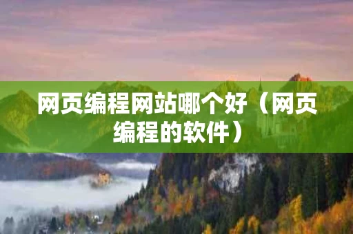 网页编程网站哪个好（网页编程的软件）