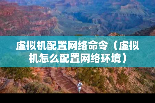 虚拟机配置网络命令（虚拟机怎么配置网络环境）
