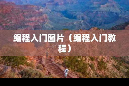 编程入门图片（编程入门教程）