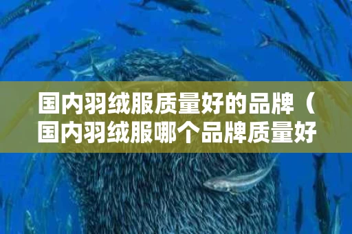 国内羽绒服质量好的品牌（国内羽绒服哪个品牌质量好）