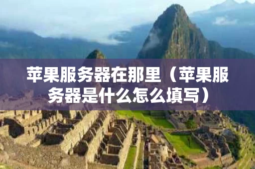 苹果服务器在那里（苹果服务器是什么怎么填写）