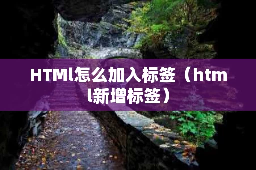 HTMl怎么加入标签（html新增标签）
