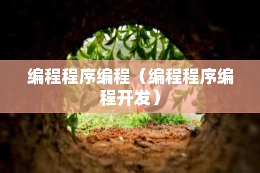 编程程序编程（编程程序编程开发）