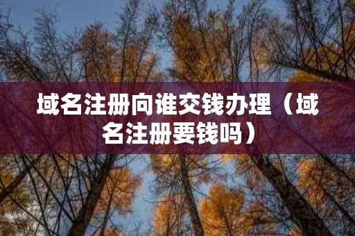 域名注册向谁交钱办理（域名注册要钱吗）