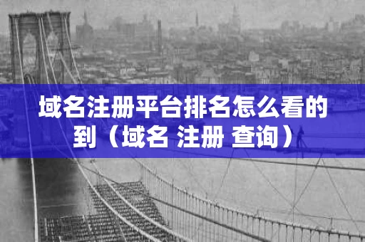 域名注册平台排名怎么看的到（域名 注册 查询）