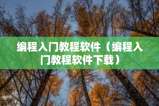 编程入门教程软件（编程入门教程软件下载）