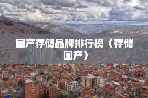 国产存储品牌排行榜（存储 国产）