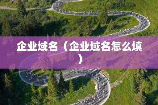 企业域名（企业域名怎么填）