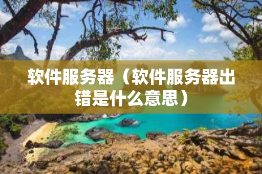 软件服务器（软件服务器出错是什么意思）