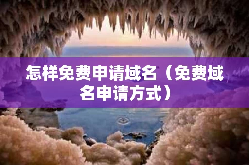 怎样免费申请域名（免费域名申请方式）