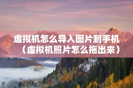 虚拟机怎么导入图片到手机（虚拟机照片怎么拖出来）