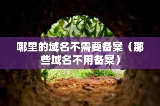 哪里的域名不需要备案（那些域名不用备案）