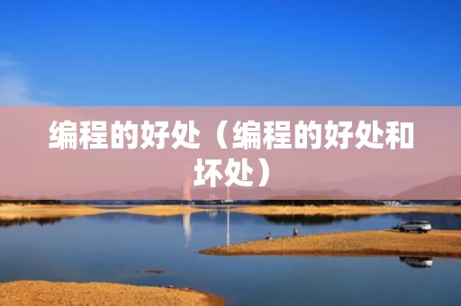 编程的好处（编程的好处和坏处）
