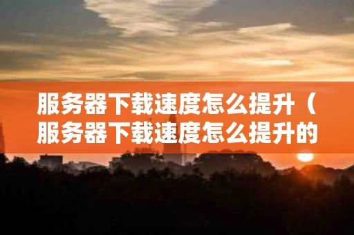 服务器下载速度怎么提升（服务器下载速度怎么提升的）