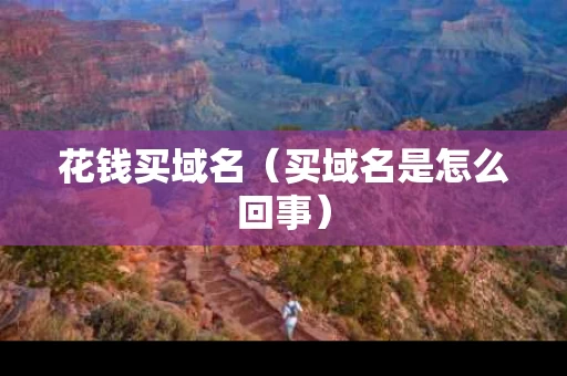 花钱买域名（买域名是怎么回事）