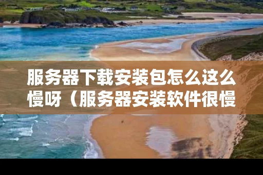 服务器下载安装包怎么这么慢呀（服务器安装软件很慢）