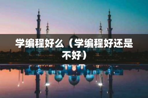 学编程好么（学编程好还是不好）