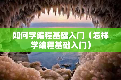 如何学编程基础入门（怎样学编程基础入门）