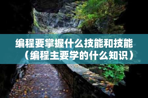 编程要掌握什么技能和技能（编程主要学的什么知识）