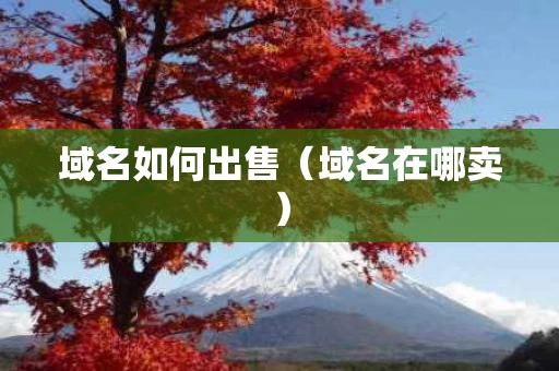 域名如何出售（域名在哪卖）