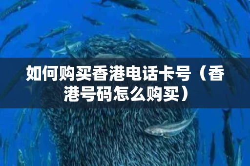 如何购买香港电话卡号（香港号码怎么购买）