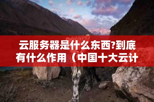 云服务器是什么东西?到底有什么作用（中国十大云计算公司排名）