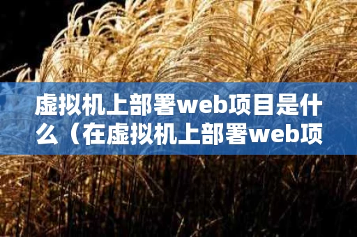 虚拟机上部署web项目是什么（在虚拟机上部署web项目）