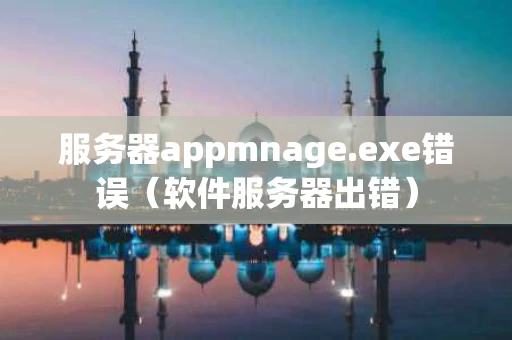 服务器appmnage.exe错误（软件服务器出错）