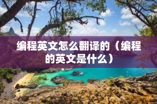 编程英文怎么翻译的（编程的英文是什么）