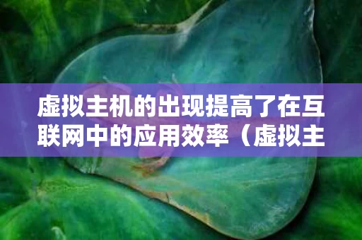 虚拟主机的出现提高了在互联网中的应用效率（虚拟主机的用途）