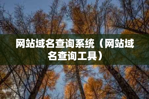 网站域名查询系统（网站域名查询工具）