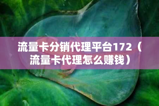 流量卡分销代理平台172（流量卡代理怎么赚钱）
