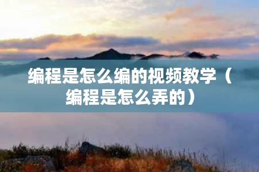编程是怎么编的视频教学（编程是怎么弄的）