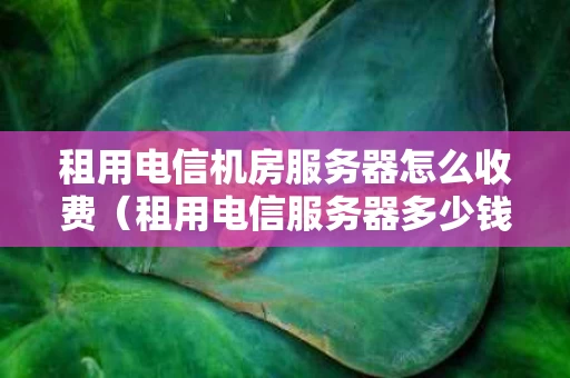 租用电信机房服务器怎么收费（租用电信服务器多少钱）