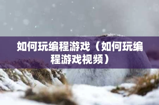 如何玩编程游戏（如何玩编程游戏视频）