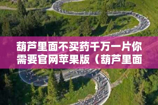 葫芦里面不买药千万一片你需要官网苹果版（葫芦里面不卖药网站）
