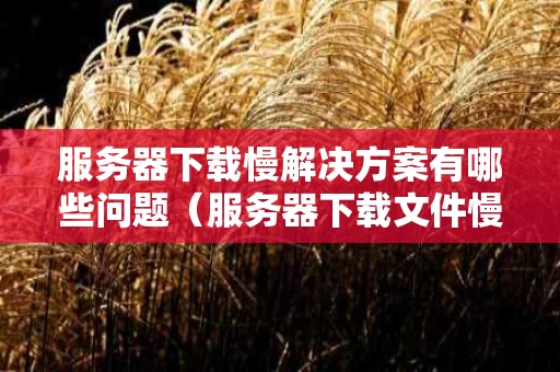 服务器下载慢解决方案有哪些问题（服务器下载文件慢）
