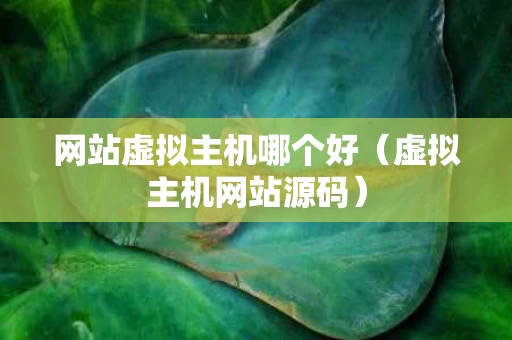 网站虚拟主机哪个好（虚拟主机网站源码）