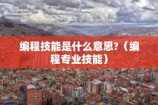 编程技能是什么意思?（编程专业技能）