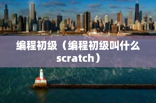 编程初级（编程初级叫什么scratch）