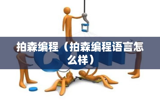 拍森编程（拍森编程语言怎么样）