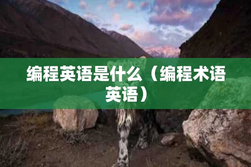 编程英语是什么（编程术语英语）