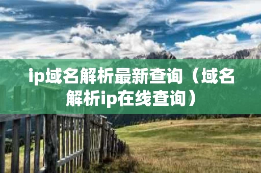 ip域名解析最新查询（域名解析ip在线查询）