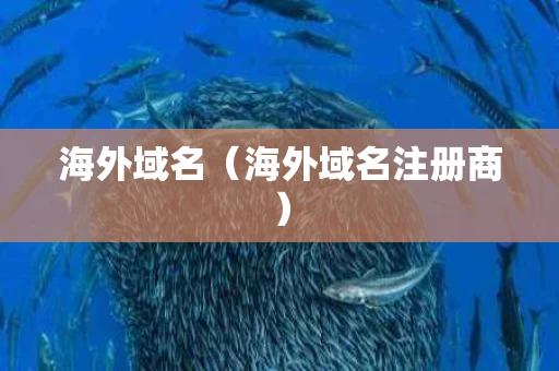 海外域名（海外域名注册商）