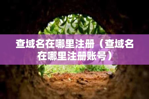 查域名在哪里注册（查域名在哪里注册账号）