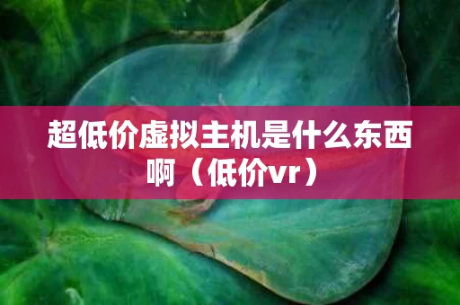 超低价虚拟主机是什么东西啊（低价vr）